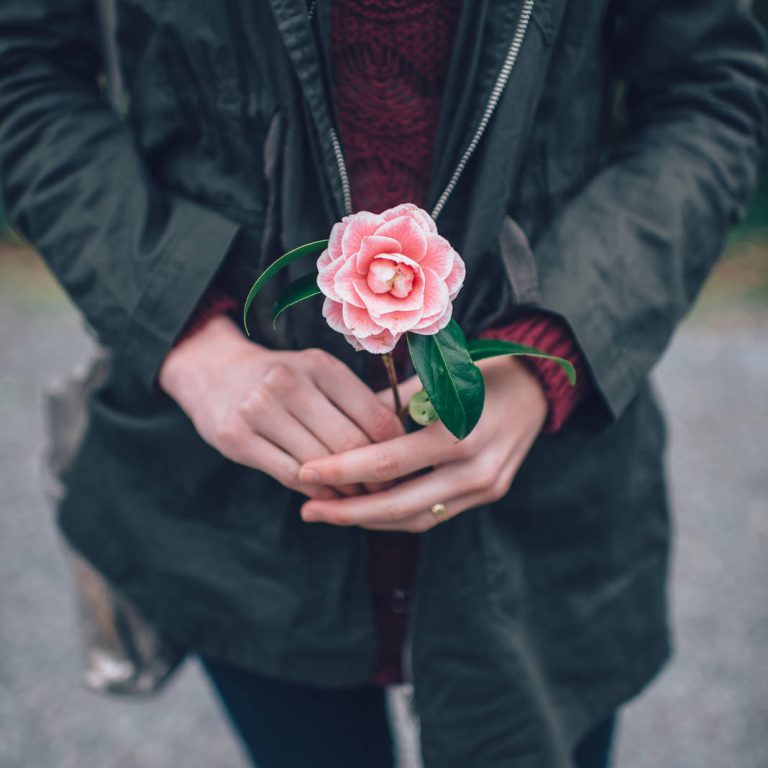 blaz-erzetic-ChSgE4K1iGY-unsplash